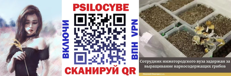 Псилоцибиновые грибы прущие грибы  даркнет сайт  Владикавказ 